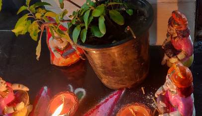 Tulsi plant decorated with diyas for a Tulsi Vivah ceremony